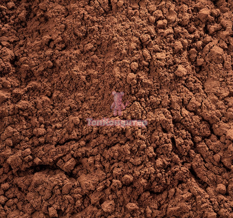 Какао порошок Nature Cacao 10-12% "CACAO BARRY" 100 гр